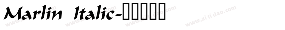 Marlin Italic字体转换